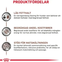 Gastrointestinal tørrfôr for små hunder med lavt fettinnhold 3,5 kg