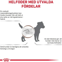 Gastrointestinal tørrfôr for små hunder med lavt fettinnhold 3,5 kg