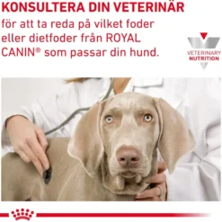 Gastrointestinal tørrfôr med høyt fiberinnhold 2 kg