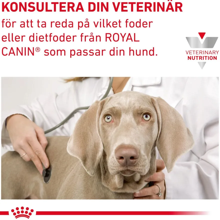 Gastrointestinal tørrfôr med høyt fiberinnhold 2 kg
