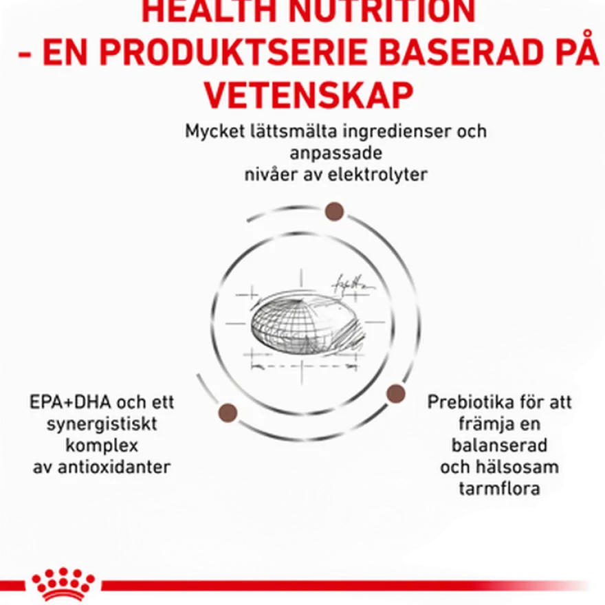 Gastrointestinal tørrfôr med moderat kaloriinnhold for hunder 15 kg