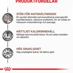 Gastrointestinal tørrfôr med moderat kaloriinnhold for hunder 15 kg