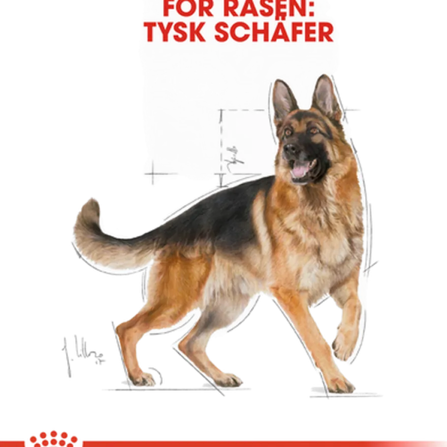 German Shepherd Adult tørrfôr for hunder 11 kg