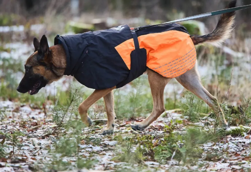 Glacier jacket 2.0 blågrønn 45 cm
