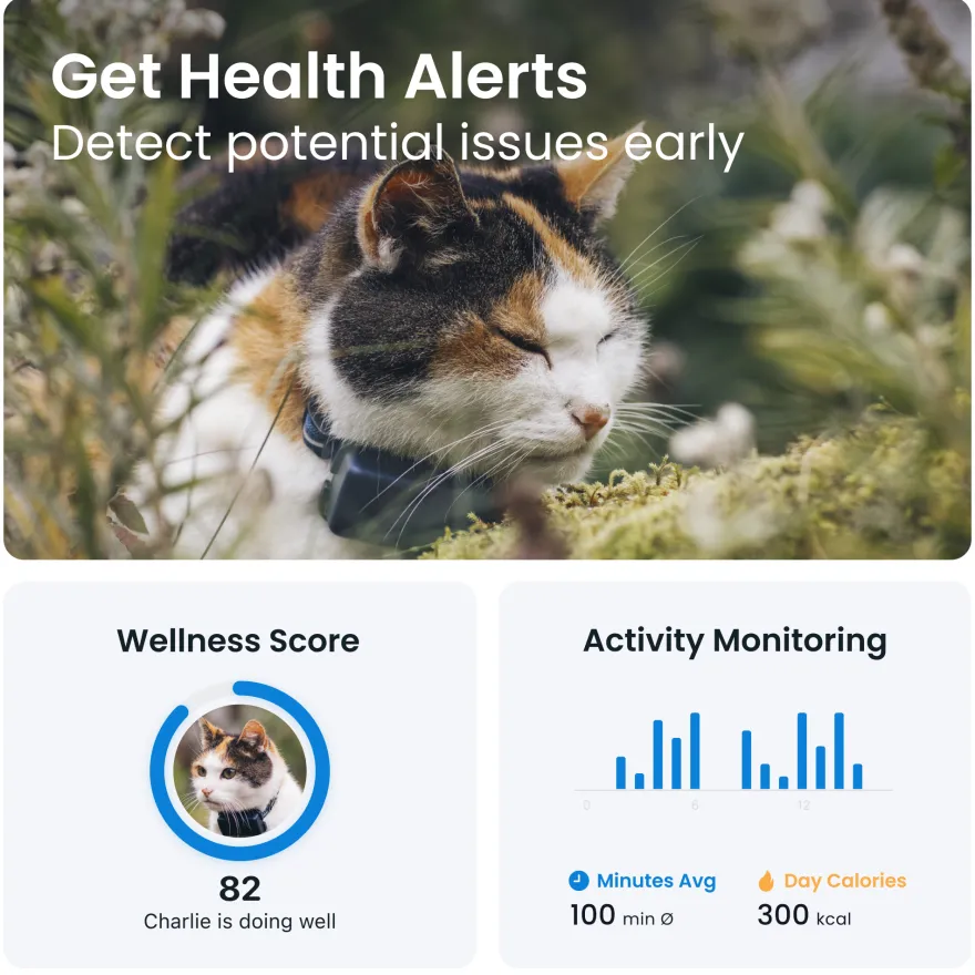 GPS CAT Mini Blå