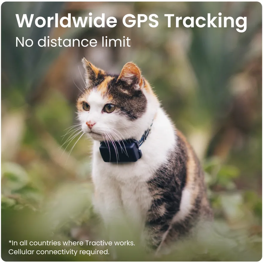 GPS CAT Mini Blå
