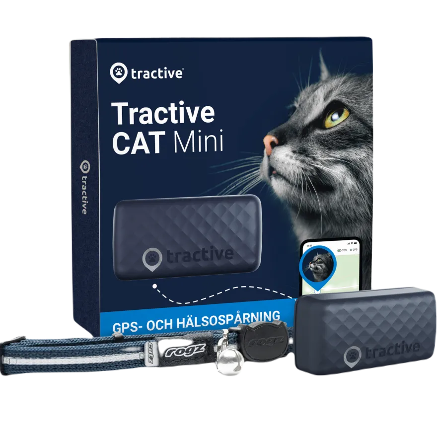 GPS CAT Mini Blå
