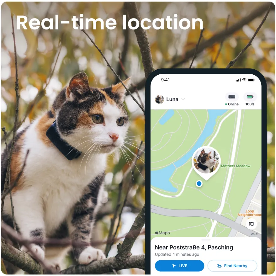 GPS CAT Mini Blå
