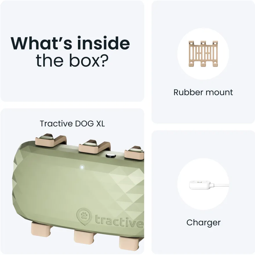 GPS DOG XL Grønn