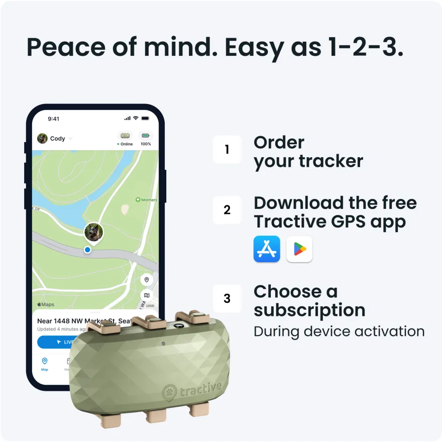 GPS DOG XL Grønn