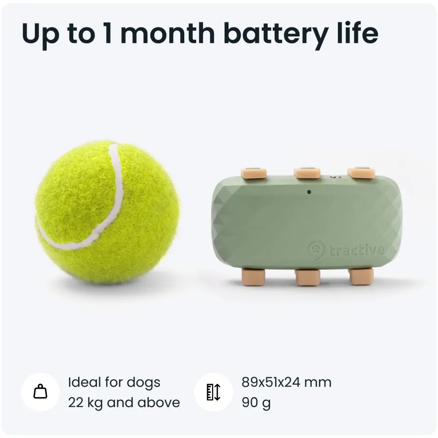 GPS DOG XL Grønn