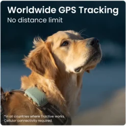 GPS DOG XL Grønn
