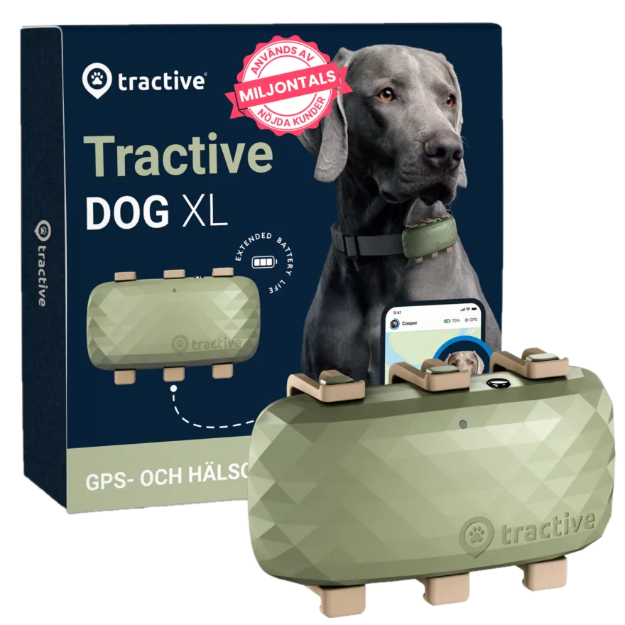 GPS DOG XL Grønn