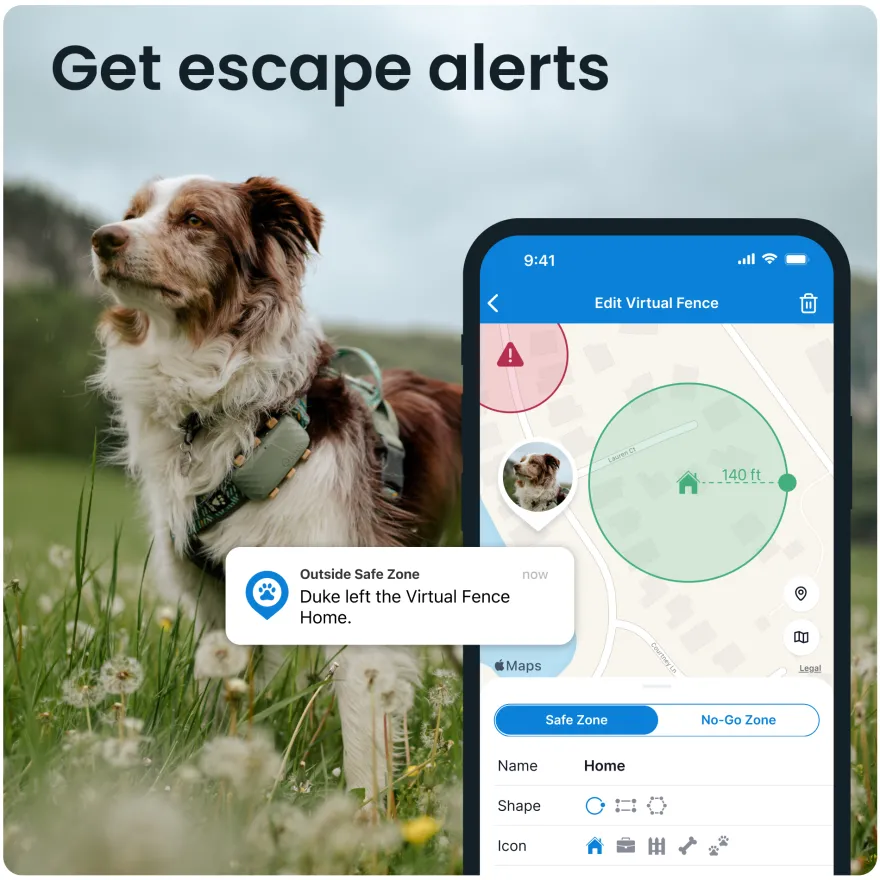 GPS DOG XL Grønn