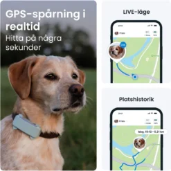 GPS-tracker for hund Dog 6 - Mint 71 x 29 x 17 mm