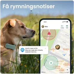 GPS-tracker for hund Dog 6 - Mint 71 x 29 x 17 mm