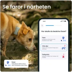 GPS-tracker for hund Dog 6 - Mint 71 x 29 x 17 mm