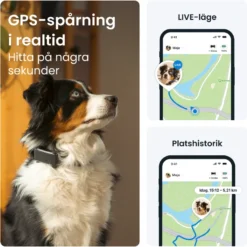 GPS-tracker for hund Dog 6 - Svart 71 x 29 x 17 mm