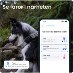 GPS-tracker for hund Dog 6 - Svart 71 x 29 x 17 mm