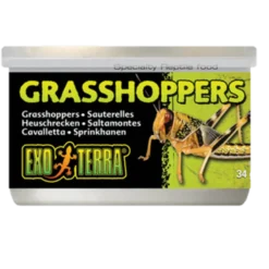Grasshoppers - Hermetisert spesialfôr for reptiler Svart 35 g