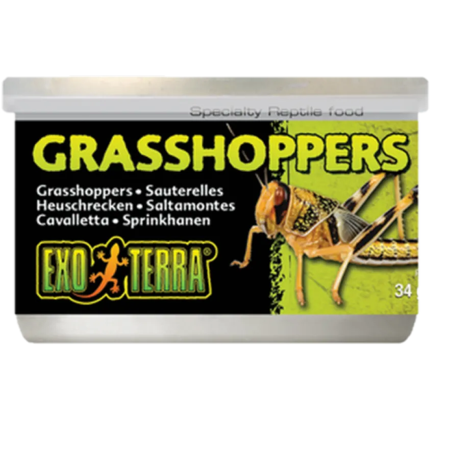 Grasshoppers - Hermetisert spesialfôr for reptiler Svart 35 g