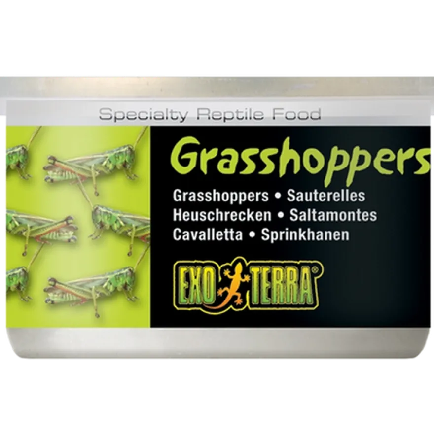 Grasshoppers - Hermetisert spesialfôr for reptiler Svart 35 g