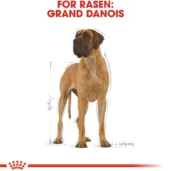 Great Dane Adult 12kg