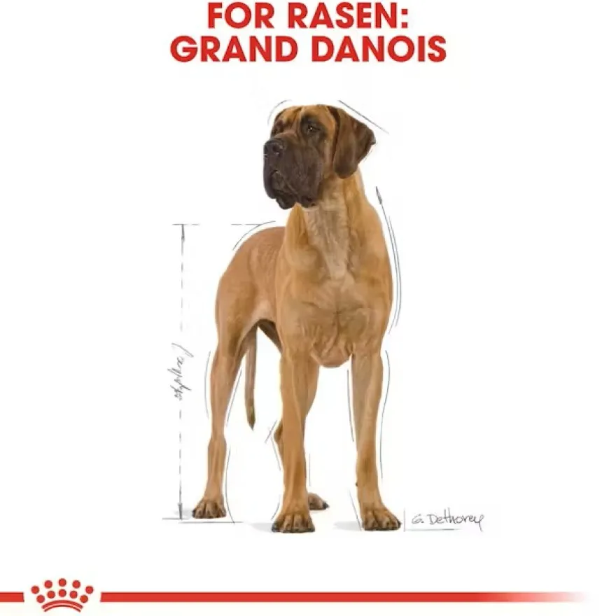 Great Dane Adult 12kg