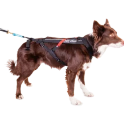 Harness Free Motion Black No. 5