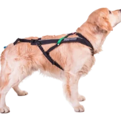 Harness Free Motion Black No. 5