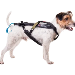 Harness Free Motion Black No. 5