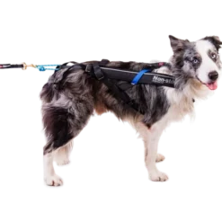 Harness Free Motion Black No. 1