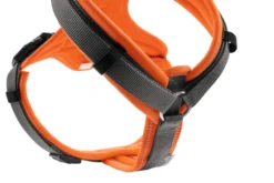 Harness Maldon Up Polyester orange/grey 34-49/XS