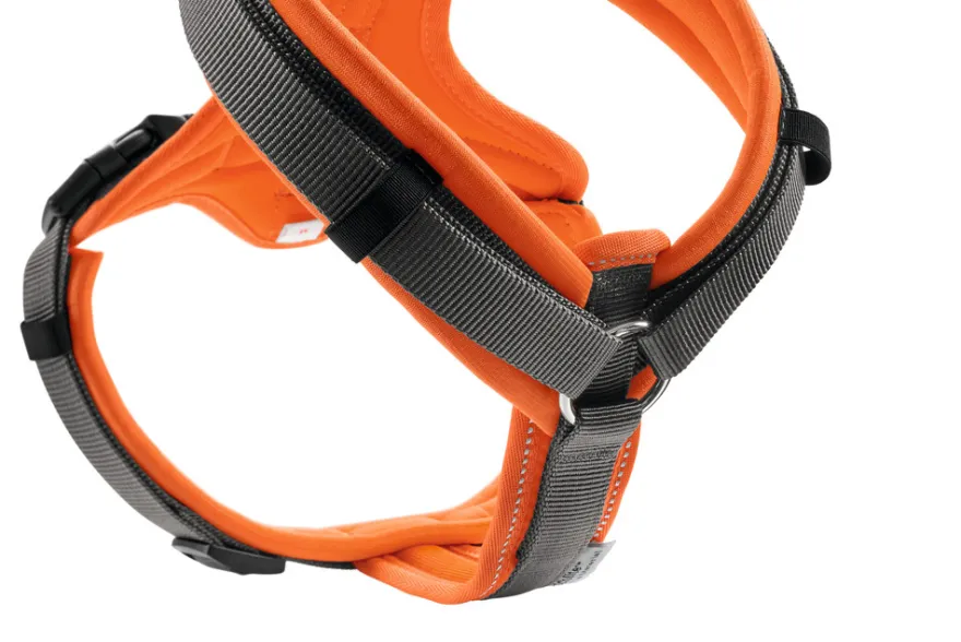 Harness Maldon Up Polyester orange/grey 34-49/XS
