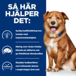 Hill´s PD Canine Derm Complete 4 kg
