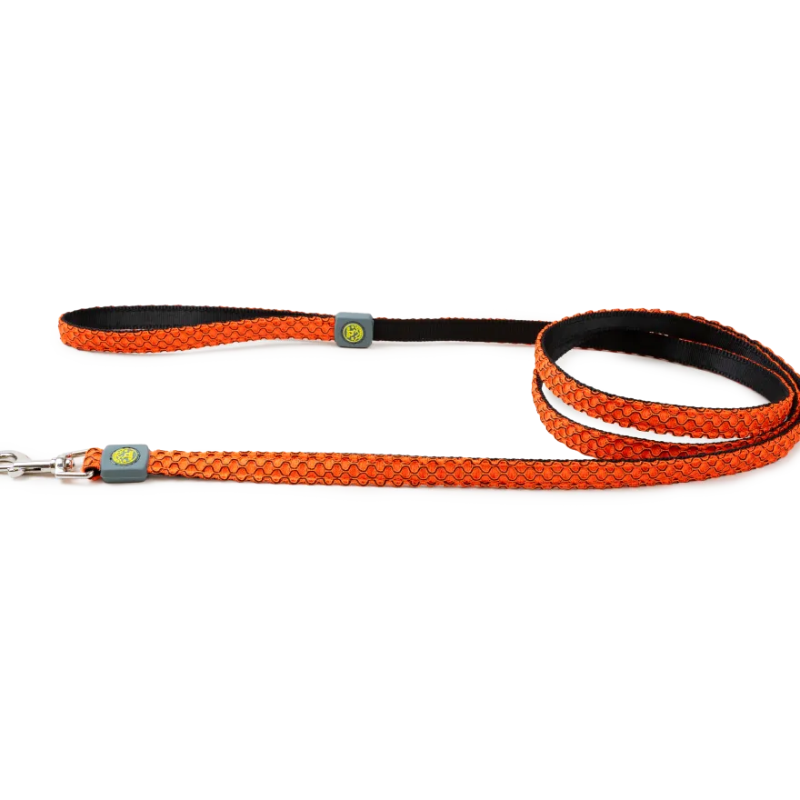 Hilo Leash 15/180 Orange