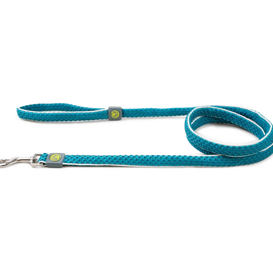 Hilo Leash 20/180 Turkis