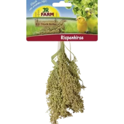 Hirse 100g