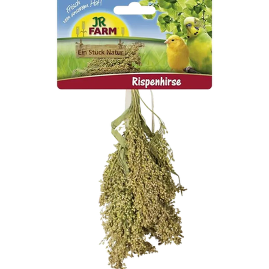 Hirse 100g
