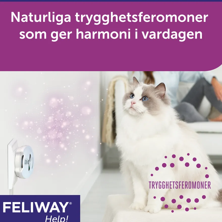 Hjelp Feromonstøvoppsamler