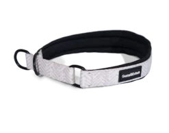 Hundehalsbånd Chicish Halvstrup XS, 15 mm x 30-40 cm, Mønstret
