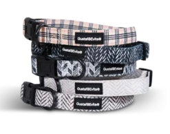 Hundehalsbånd Modish justerbart XS, 15mm x 28-43cm Mønstret