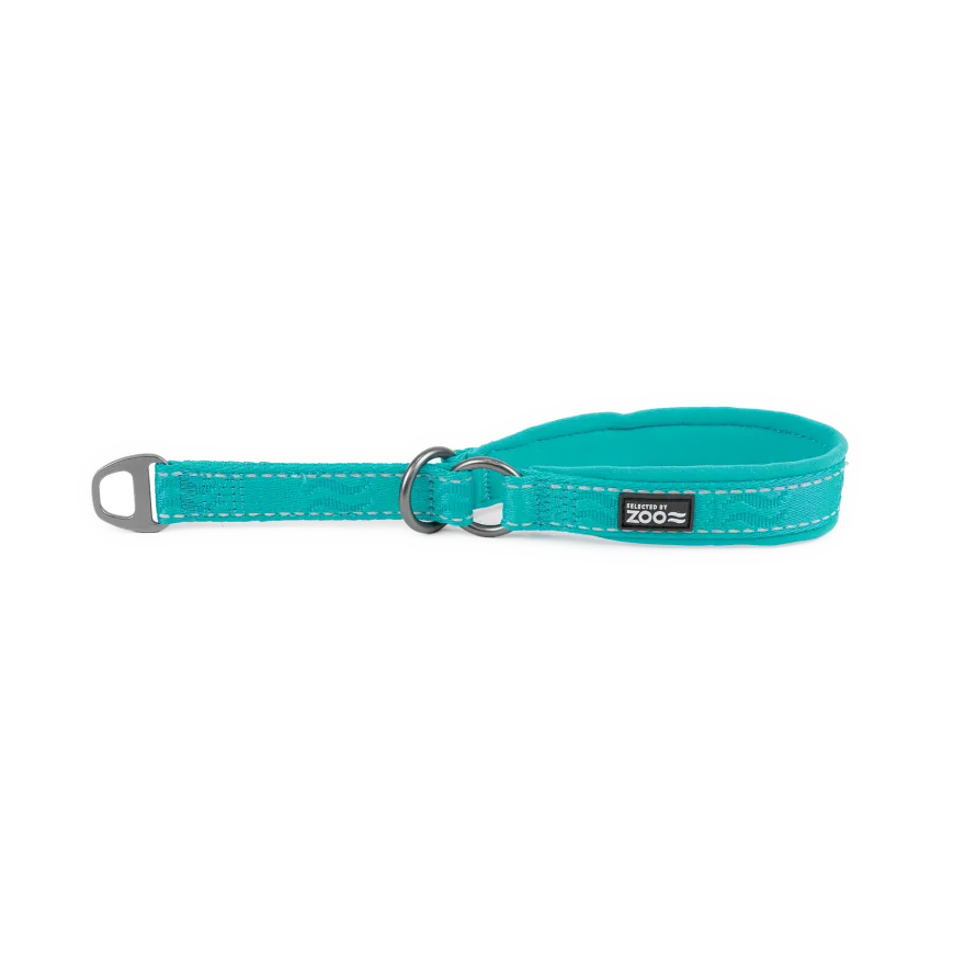 Hundehalsbånd Rufus halv jern 20 mm x 35-45 cm Turkis