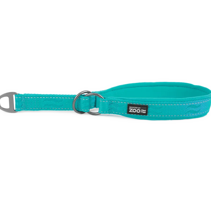 Hundehalsbånd Rufus halv jern 25 mm x 45-55 cm Turkis