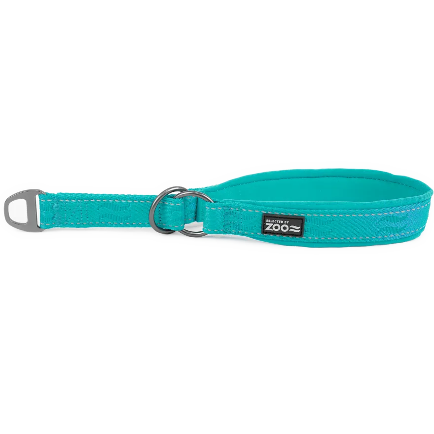 Hundehalsbånd Rufus halv jern 25 mm x 40-50 cm Turkis