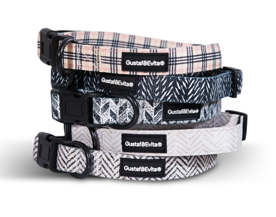 Hundehalsbånd Stilish justerbart XS, 15 mm x 28-43 cm Mønstret