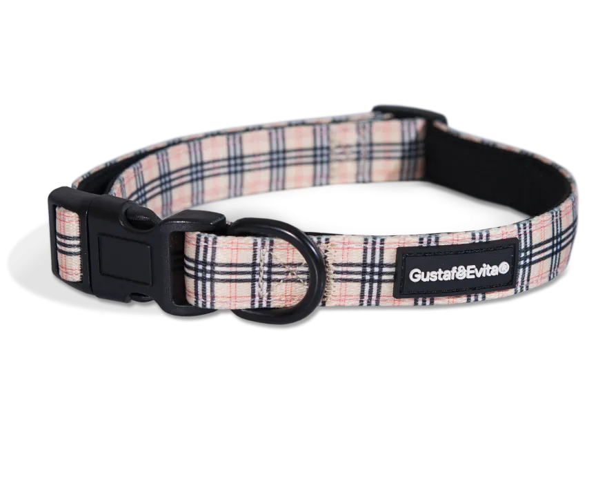 Hundehalsbånd Stilish justerbart XS, 15 mm x 28-43 cm Mønstret
