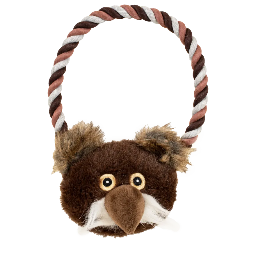 Hundeleketøy Owl Son, 22x19x7cm, flerfarget