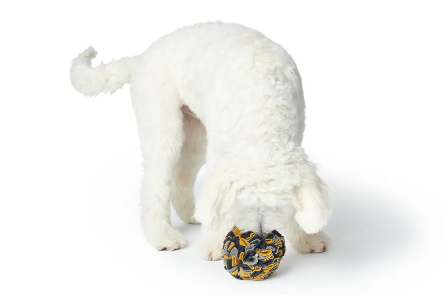 Hundeleketøy Sniffle Ball Eiby Polyester Blå/Grå/Gul ø15cm