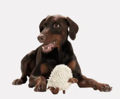 Hundeleketøy Snugly Sheep Hvit 17cm